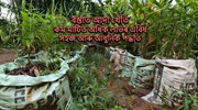 কম মাটিত অধিক লাভৰ এবিধ সহজ আৰু আধুনিক পদ্ধতি