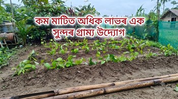 কম মাটিত অধিক লাভৰ এক সুন্দৰ গ্ৰাম্য উদ্যোগ