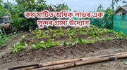 কম মাটিত অধিক লাভৰ এক সুন্দৰ গ্ৰাম্য উদ্যোগ
