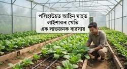 Advantages of Polytunnel Cultivation