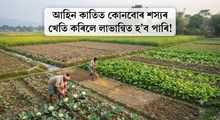 আহিন কাতিত কোনবোৰ শস্যৰ খেতি কৰিলে লাভান্বিত হ’ব পাৰি!