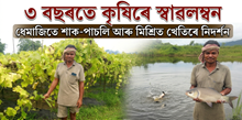 Krishna Kanta Dole: ৩ বছৰতে শাক-পাচলি আৰু মিশ্ৰিত খেতিৰে নিদৰ্শন
